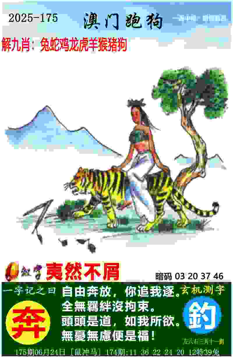 >2025新澳门历史记录走势