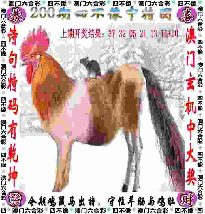>2025新澳门历史记录走势