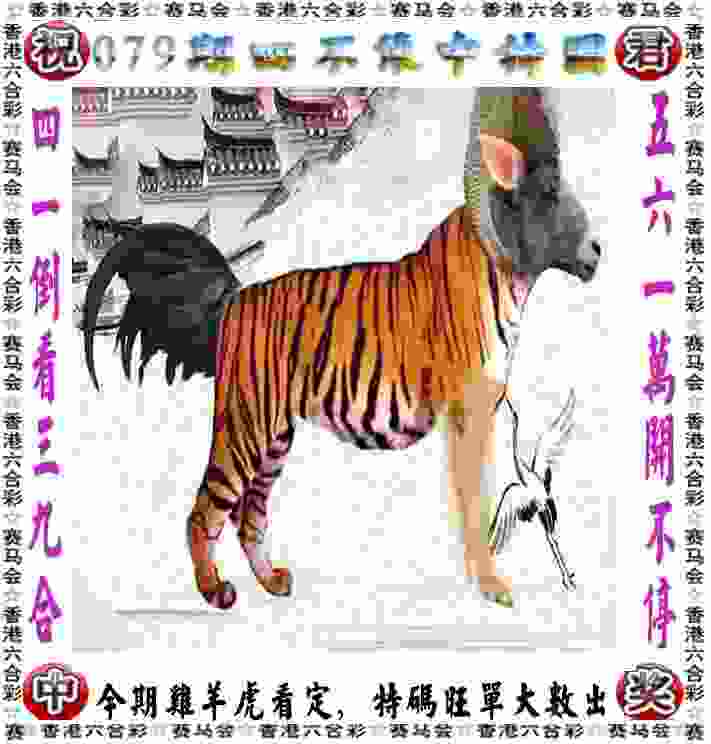 >2025新澳门历史记录走势
